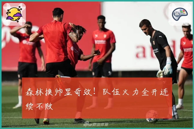 森林换帅显奇效！队伍火力全开连续不败