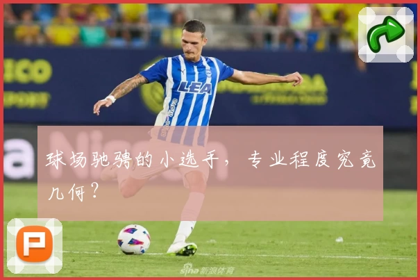 球场驰骋的小选手，专业程度究竟几何？